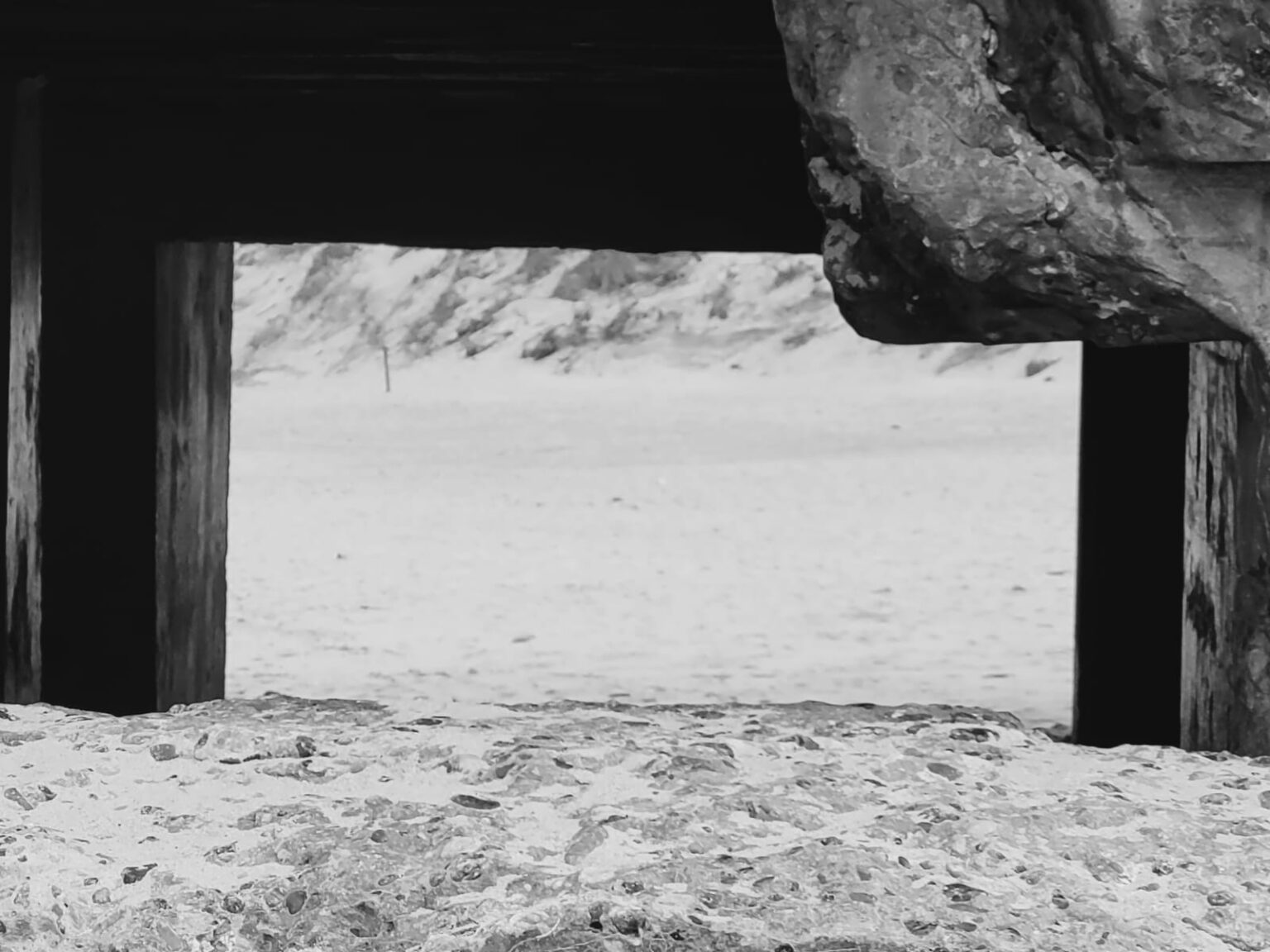 OsterInput für Zwischendrin Neues