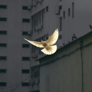 ©-Sunguk-Kim-auf-Unsplash